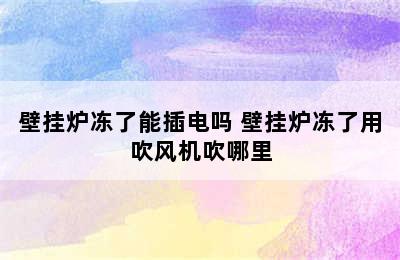 壁挂炉冻了能插电吗 壁挂炉冻了用吹风机吹哪里